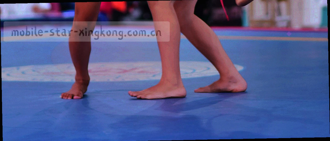 五个赛季的纵向归档时间轴，每一段标注收录范围与字段名称
